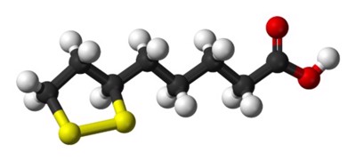 Alpha lipoic acid (ALA) – Hoạt chất chống oxy hóa giúp bảo vệ mạch vành